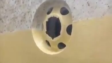 Screenshot ٢٠٢٢٠٩١٦ ١٠٥٠٢٩ Gallery