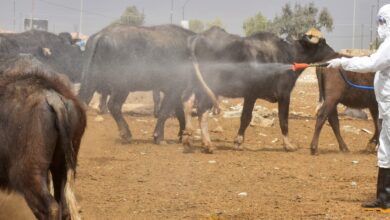 b32e8887 f8f1 4023 9cb6 502bbc623b8a