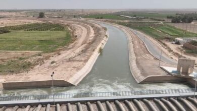 upload 1662709661 1725316230