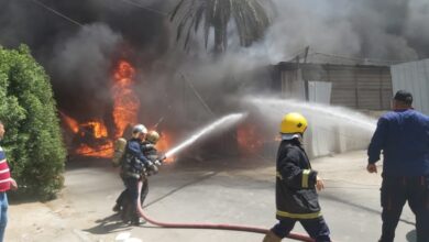 upload 1663245441 257613355