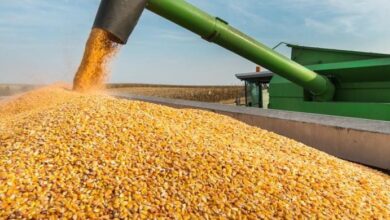 upload 1663426938 2053061008