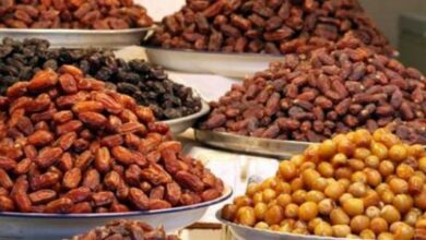 أنواع مختلفة من التمور