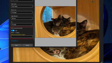 مايكروسوفت تخطط لدعم نظام Windows 10 بتحديث جديد في أكتوبر 750x430 1