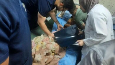 00529190 83E0 45E5 88C2 06CEA7C96667