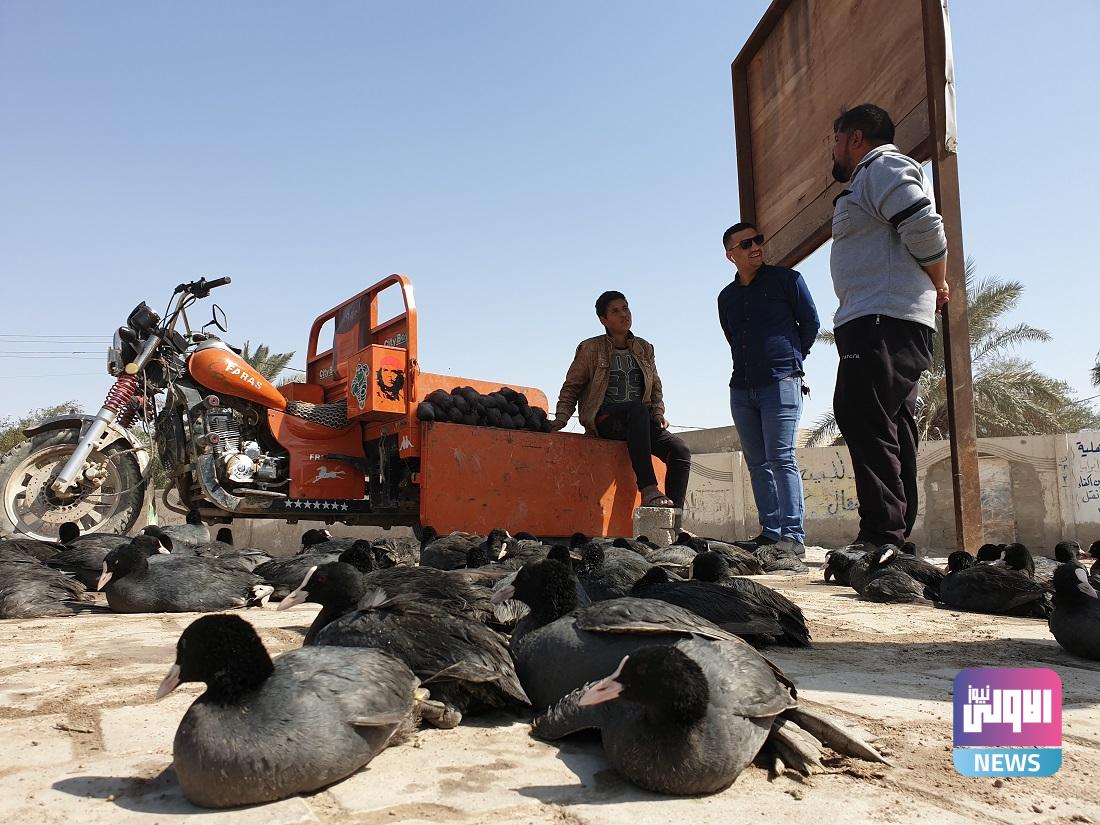 البيئة: غرامة 10 ملايين دينار بحق مرتكبي الصيد الجائر 1 17266 464824756