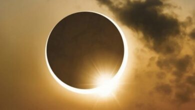 1784B312 8DBD 4AD3 A69C FFB7FFFAED0D