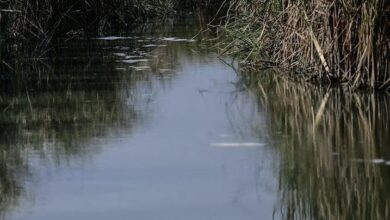 187758B7 F619 4746 B72D 51536F6B962A