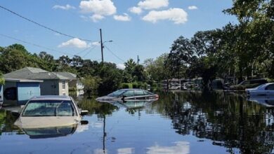 187E9F75 4E85 44C6 B7C5 6EEF95244BFD