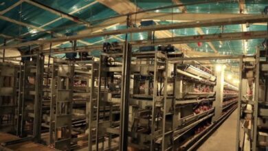 2207A542 A125 458D 8E1D C7EC918294D7