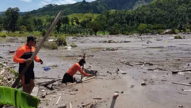 227955Image1 775x445 d