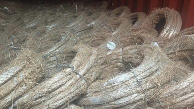 235C81D9 78B0 4CA9 AEDA D22E59274656