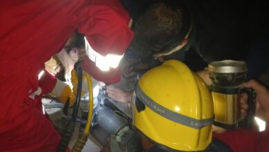 25C542A8 0E6C 4186 8885 3C79FF52BF48