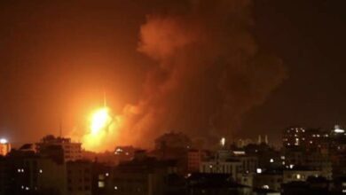 35E8A61B F71E 46FF A38B D76747EAA6E6