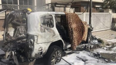 5396D3B3 76C0 40E6 8BF3 2ABBCE093C06