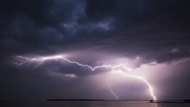 55D6BD11 46B4 4EA8 A089 E3E79230311F