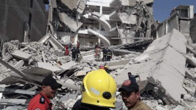 613697D3 BB85 452D 99D5 51B60F6B9931