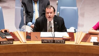 633774c8423604356742c22c