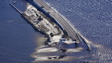 6337bce942360455351ee88b