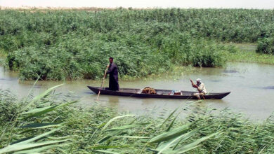 7D383491 1A7C 46EB AC33 A362B856F0DF