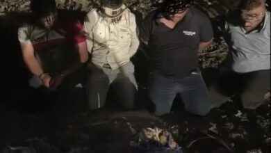 8063437F B9CB 423F A6DD 565E63729B77