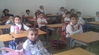 83884203 4A99 44F4 9484 2E6280475F18