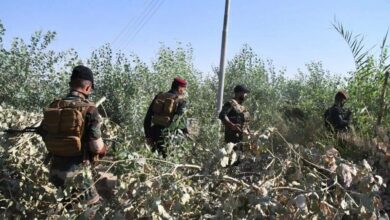 C58410B5 944C 43FA BE53 5F239B1BE178