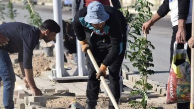 C67D1F5B C376 445C 86E9 C635E40A99E5