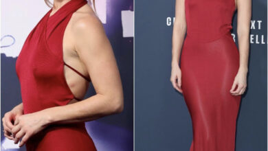 C8592411 5AB7 4A6A BFC4 AA89AF31B440