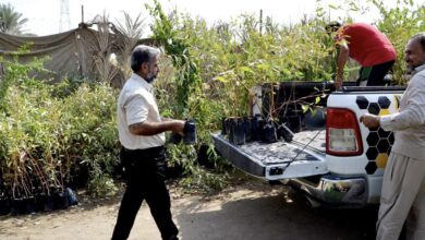 CDB2372C 2F85 436A A2DE C6C97566E56E