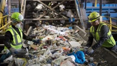 D0EFEF60 83FA 4631 8B2C 0F845AD955C4