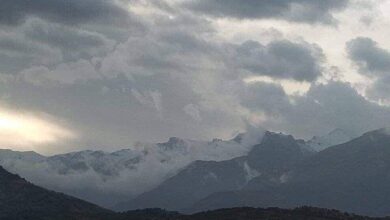 E2864D2E 1996 4D15 B683 5B0224D21D7A