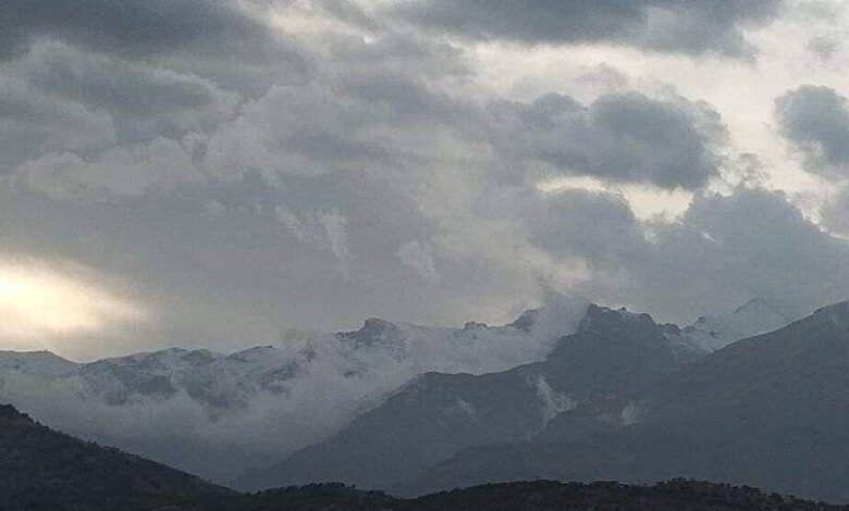 E2864D2E 1996 4D15 B683 5B0224D21D7A