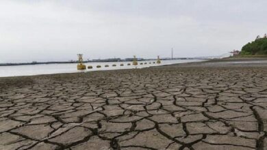 E4E683E8 AF08 49EF A063 0E763D223153