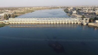 E6E55C2D 28BA 443B 9176 AF3E9CBD9E62