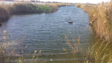 F100C0F3 71D8 47BD B284 B103FF2E72F5