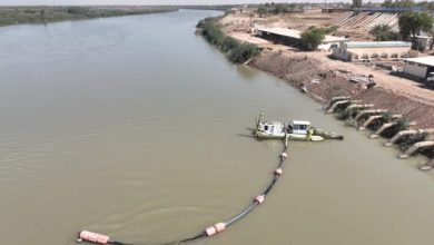 FB IMG 1655891222426 768x575 1