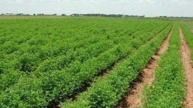 IMG 20221002 101301 163