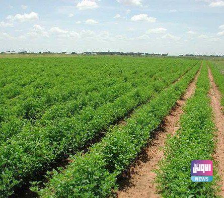 الموارد المائية تقر خطتها الإروائية للموسم الشتوي المقبل 1 IMG 20221002 101301 163