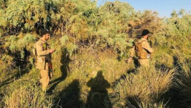 IMG 20221002 125027 803