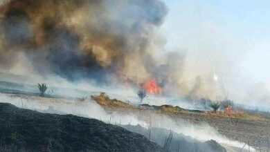 IMG 20221014 124010 016