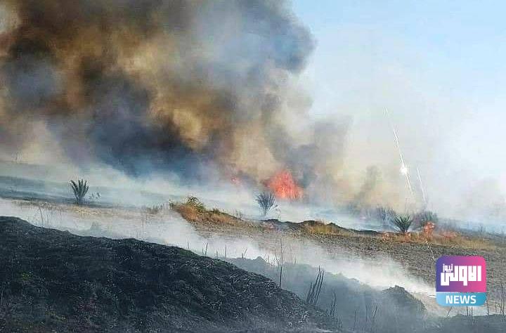 إخماد حريق التهم عدة دونمات من بساتين ديالى 1 IMG 20221014 124010 016