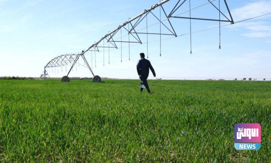 زراعة صلاح الدين تحدد مساحة خطتها الخاصة بالأراضي المروية 1 IMG 20221014 172823 773