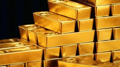 IMG 20221023 095116 435