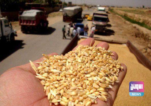 التجارة تحبط محاولة سرقة نحو 44 طناً من الحنطة في بغداد 1 IMG 20221025 141210 285