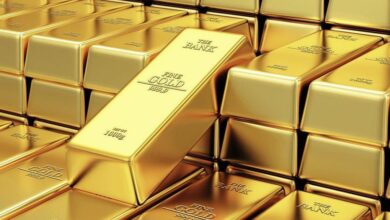 IMG 20221026 112819 890