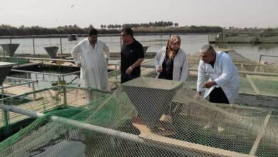 IMG 20221026 144009 758