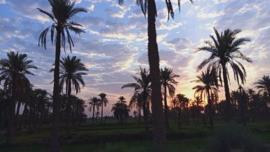 IMG 20221029 113841 916