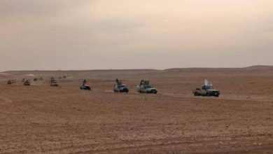 IMG 20221031 101752 587