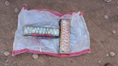 IMG 20221031 142900 933