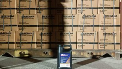 IMG ٢٠٢٢١٠٠٩ ٠٩٣٨٥٣